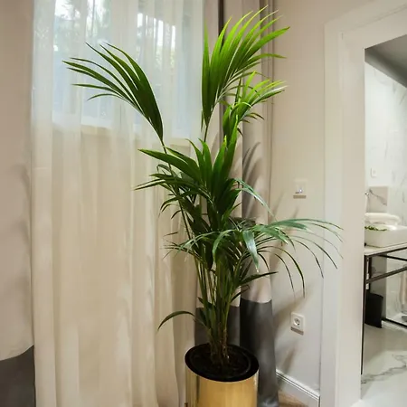 Club 5 Boutique スプリト